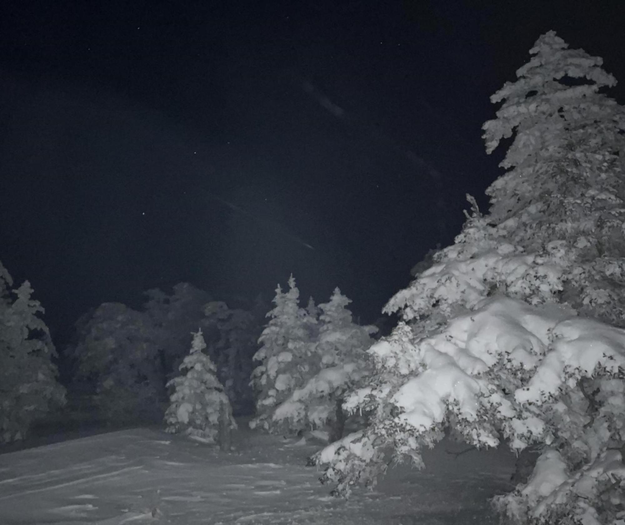 Sachinoyu Hotel Shiga Kogen Jamanouči Exteriér fotografie