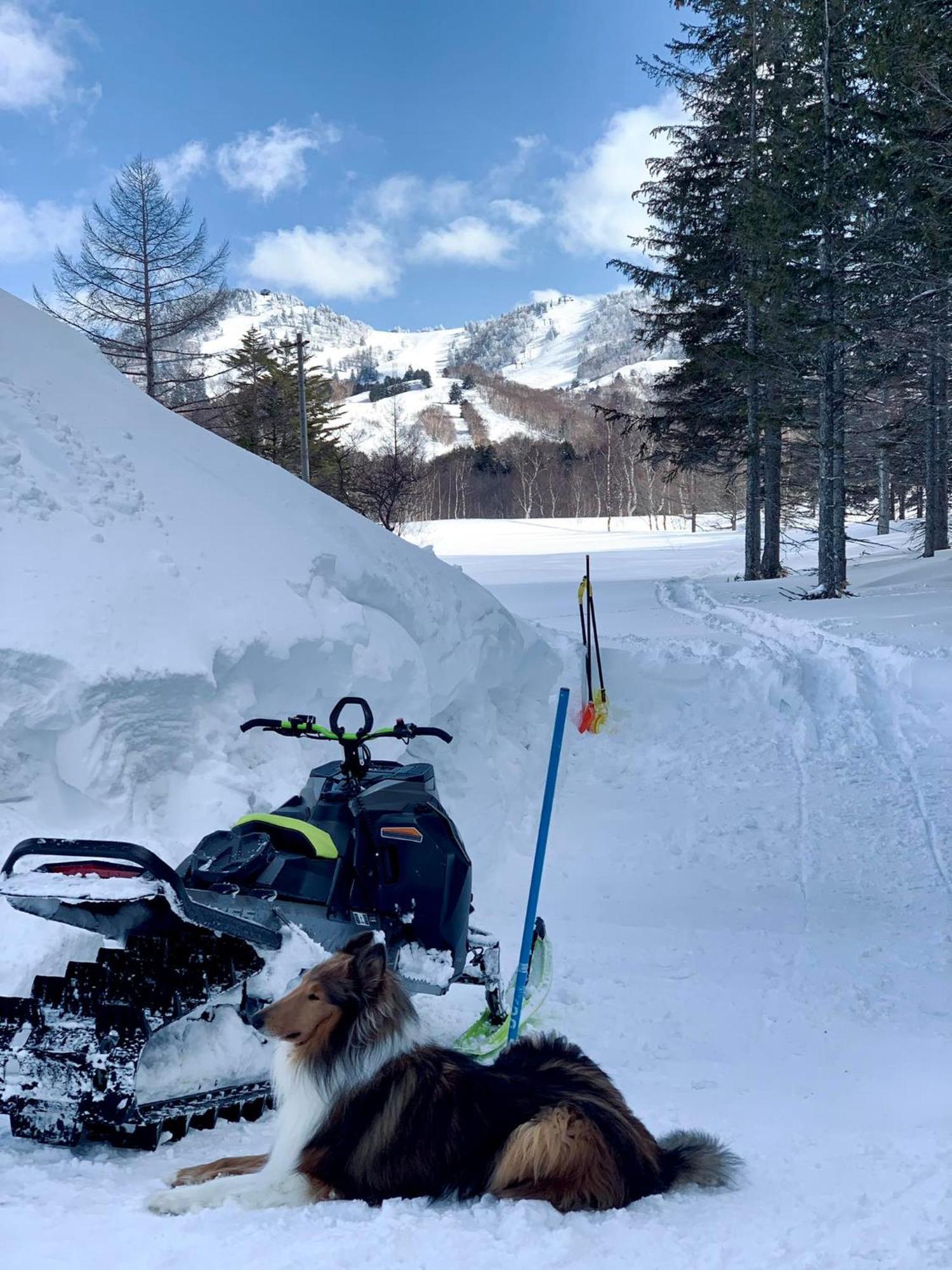 Sachinoyu Hotel Shiga Kogen Jamanouči Exteriér fotografie