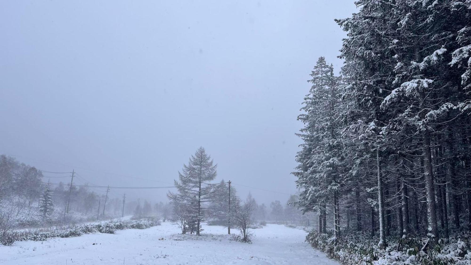 Sachinoyu Hotel Shiga Kogen Jamanouči Exteriér fotografie