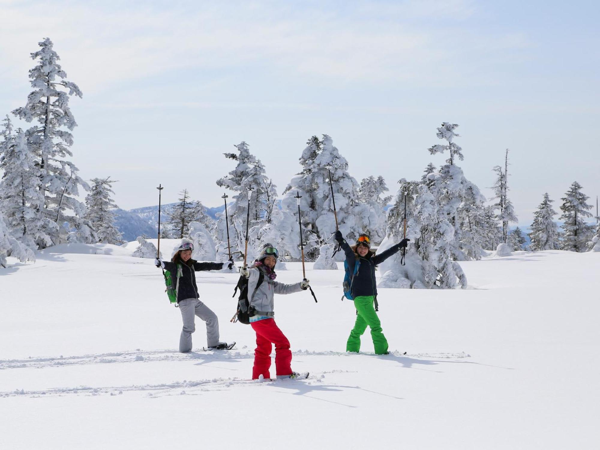 Sachinoyu Hotel Shiga Kogen Jamanouči Exteriér fotografie