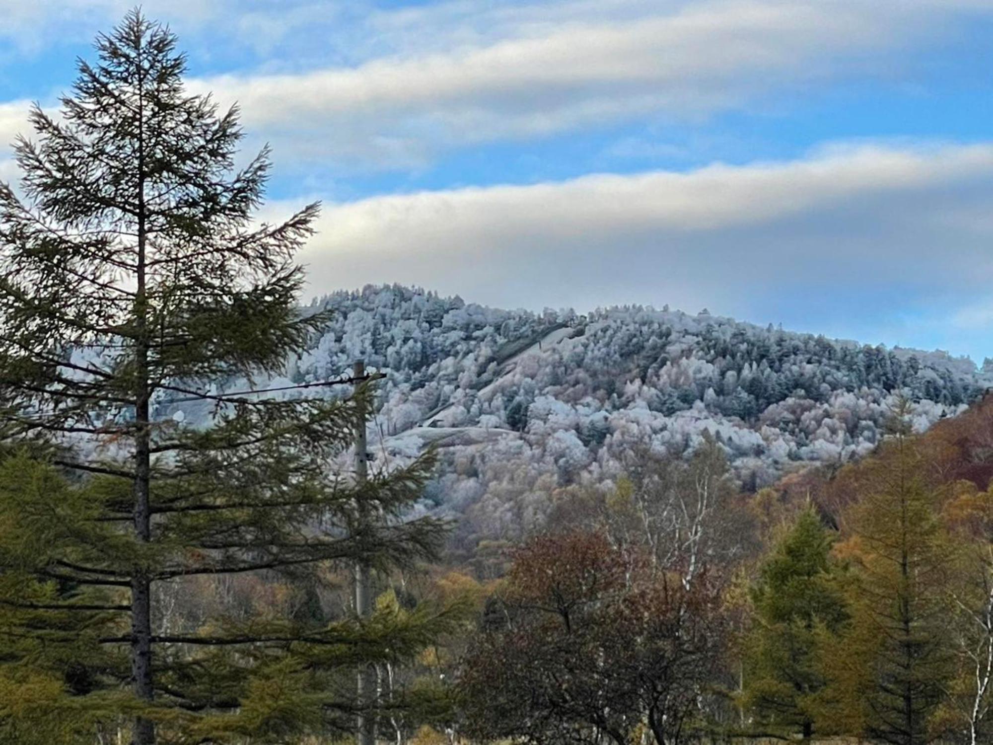 Sachinoyu Hotel Shiga Kogen Jamanouči Exteriér fotografie